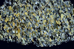 Cross Polarized, S61415