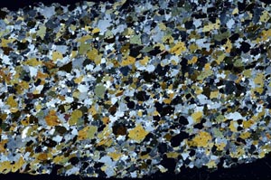 Cross Polarized, S61416