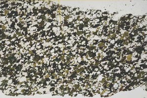 Plane Polarized, S61417