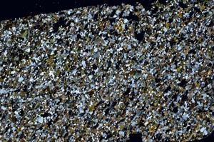 Cross Polarized, S61423