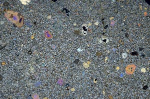 Cross Polarized, S61427