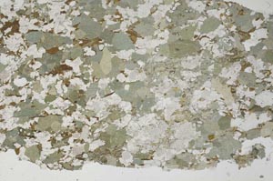 Plane Polarized, S61428