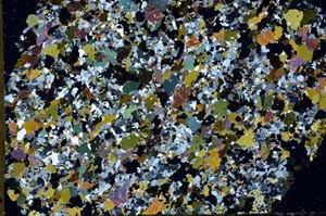 Cross Polarized, S61431