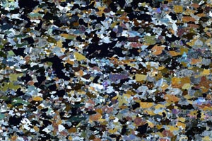 Cross Polarized, S61434