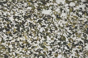 Plane Polarized, S61437