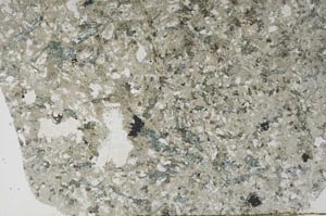 Plane Polarized, S61448