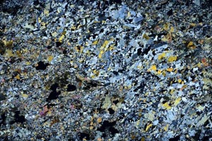 Cross Polarized, S61449