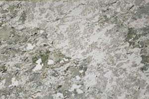 Plane Polarized, S61449