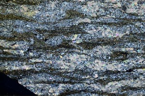 Cross Polarized, S61450