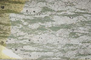 Plane Polarized, S61450