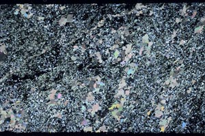 Cross Polarized, S61452