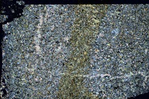 Cross Polarized, S61453