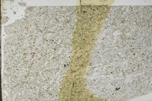 Plane Polarized, S61453