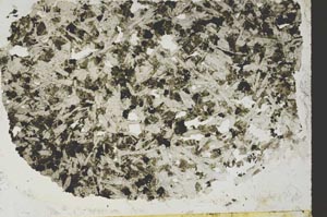 Plane Polarized, S61459/A