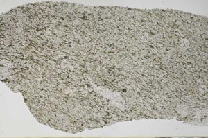 Plane Polarized, S61485