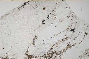 Plane Polarized, S61487