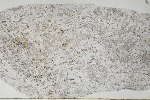Plane Polarized, S61489