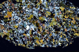 Cross Polarized, S61504