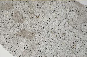 Plane Polarized, S61512