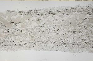 Plane Polarized, S61526