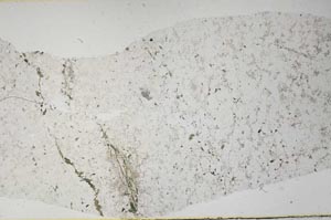 Plane Polarized, S61529