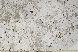 Plane Polarized, S61532