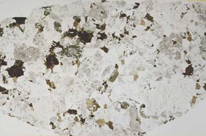 Plane Polarized, S61534