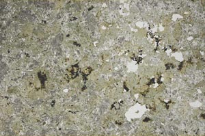 Plane Polarized, S61538
