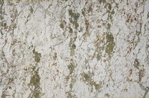 Plane Polarized, S61543