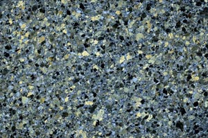 Cross Polarized, S61544
