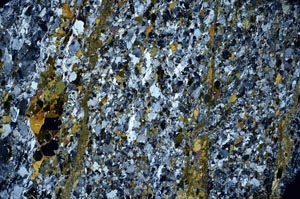 Cross Polarized, S61546