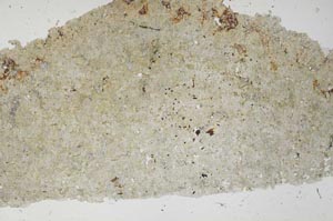 Plane Polarized, S61551