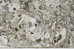 Plane Polarized, S61567
