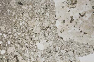 Plane Polarized, S61569