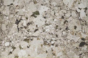 Plane Polarized, S61571