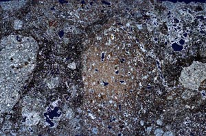 Cross Polarized, S61649