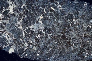 Cross Polarized, S61662