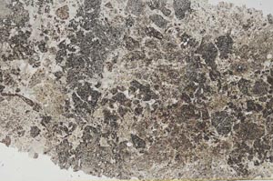 Plane Polarized, S61662