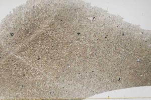 Plane Polarized, S61664