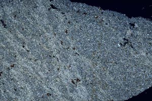 Cross Polarized, S61665