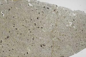 Plane Polarized, S61665