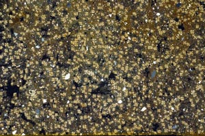 Cross Polarized, S61672