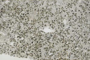 Plane Polarized, S61673