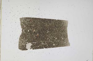 Plane Polarized, S61674