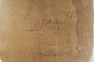 Plane Polarized, S61679