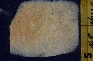 Cross Polarized, S61679/A