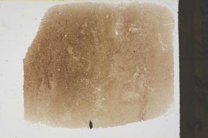 Plane Polarized, S61679/A