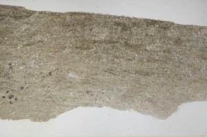 Plane Polarized, S61681