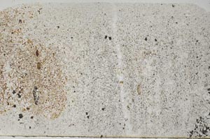 Plane Polarized, S61683