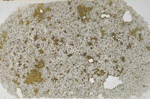 Plane Polarized, S61693